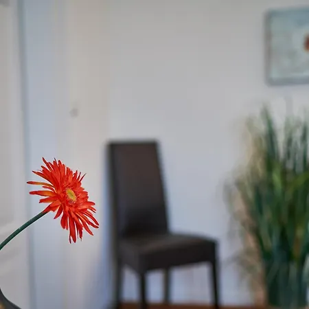 شقة Casa Pinos فريدريشسهافن